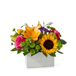 Best Day Box Bouquet from Parkway Florist in Pittsburgh PA Best Day Box Bouquet from Parkway Florist in Pittsburgh PA